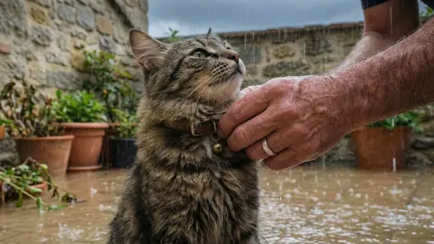 Qui&eacute;n le pone el cascabel al gato en las inundaciones