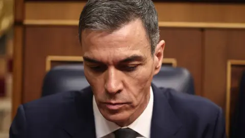 Pedro S&aacute;nchez