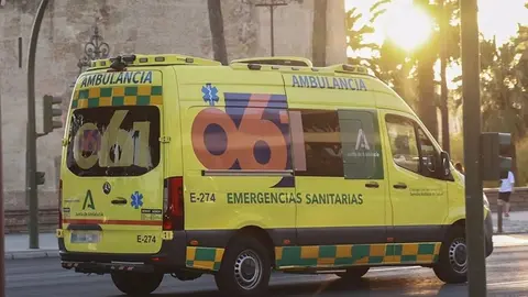 Una ambulancia del 061 se desplaz&oacute; hasta el lugar de los hechos