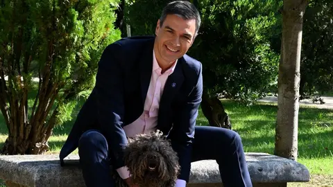 Pedro S&aacute;nchez sigue sin proteger a los perros de caza en Espa&ntilde;a