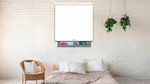 Elecci&oacute;n de estores