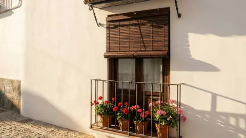 La elegancia de las persianas de madera