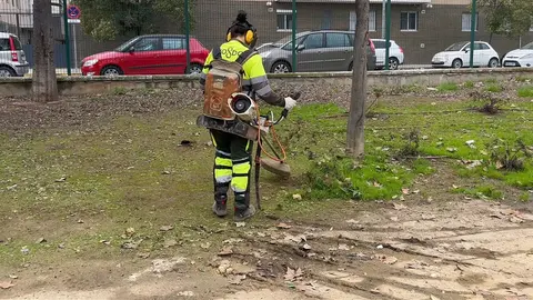 Sevilla acelera los trabajos de desbroce y control de vegetaci&oacute;n tras el crecimiento acelerado por el temporal (1)
