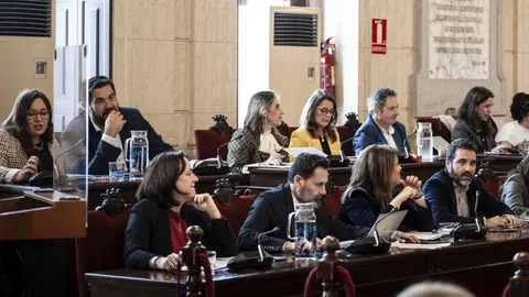 Celebraci&oacute;n del pleno en el Ayuntamiento de M&aacute;laga (1)