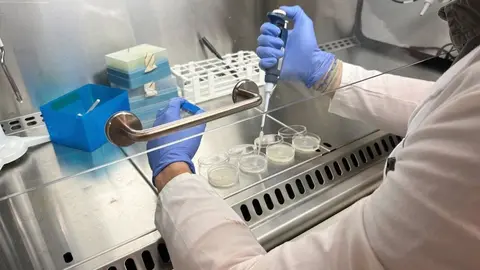 Imagen de archivo de un laboratorio de biotecnolog&iacute;a