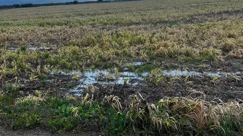El tren de borrascas ha dejado innumerables da&ntilde;os en Huelva