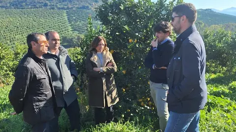 La Junta de Andaluc&iacute;a viene abonando indemnizaciones por sequ&iacute;a y lluvias a m&aacute;s de 2.000 agricultores malague&ntilde;os