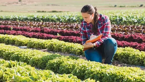 Andaluc&iacute;a sigue siendo el espejo en el que mira Espa&ntilde;a por su apoyo al Programa de Desarrollo Rural