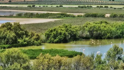 Andaluc&iacute;a, a la vanguardia en modernizaci&oacute;n de gesti&oacute;n ambiental mediante la digitalizaci&oacute;n y la IA (1)