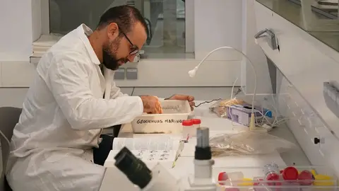 Andaluc&iacute;a da un paso de gigante para promover la excelencia cient&iacute;fica en la esfera internacional