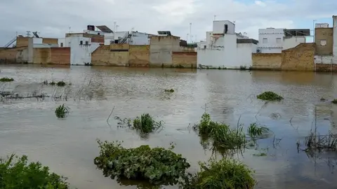 Andaluc&iacute;a se ha visto seriamente afectada por el tren de borrascas