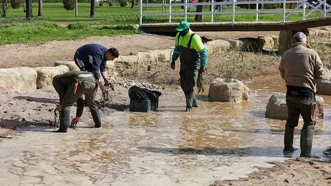Estanque de los jardines de Elena Fort&uacute;n en C&oacute;rdoba