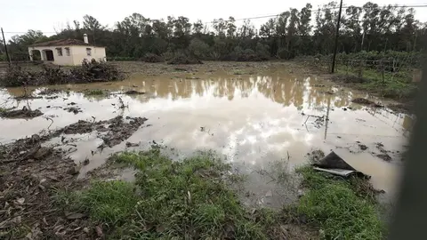 El campo andaluz recibir&aacute; ayudas por las borrascas (1)