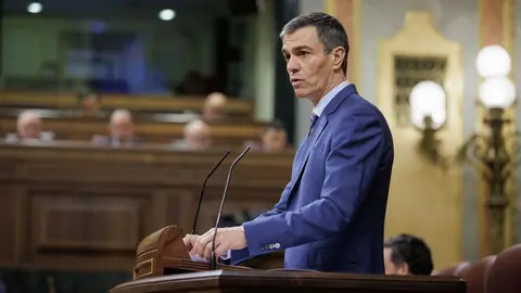Pedro S&aacute;nchez