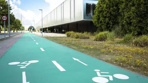 El carril bici que conecta Sevilla con la Universidad Pablo de Olavide