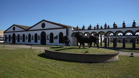 La plantilla de Bodegas Osborne pide desbloquear la jubilaci&oacute;n parcial para fijos discontinuos