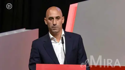 Luis Rubiales, presidente de la RFEF