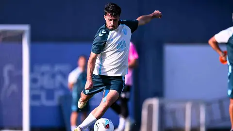 El M&aacute;laga CF estar&aacute; uno o dos meses sin Carlos Puga