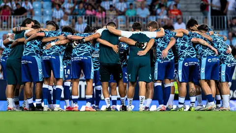 Jugadores y cuerpo t&eacute;cnico del M&aacute;laga CF durante un partido en La Rosaleda | MCF