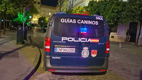 La Policía Nacional captura al presunto autor de la llamada de un falso aviso bomba en Jerez