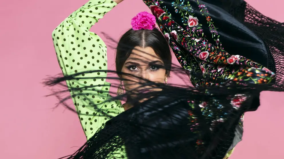 El flamenco entra en una nueva etapa en Andaluc&iacute;a con un plan estrat&eacute;gico propio