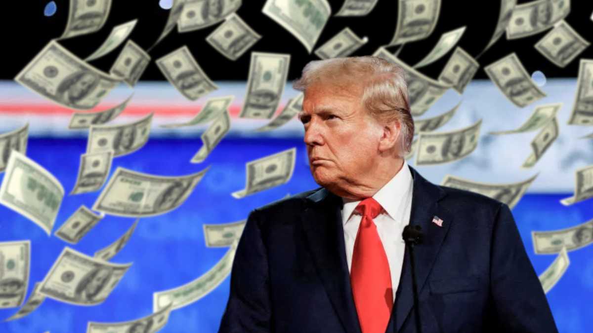 Where are the "DOGE" stimulus checks?