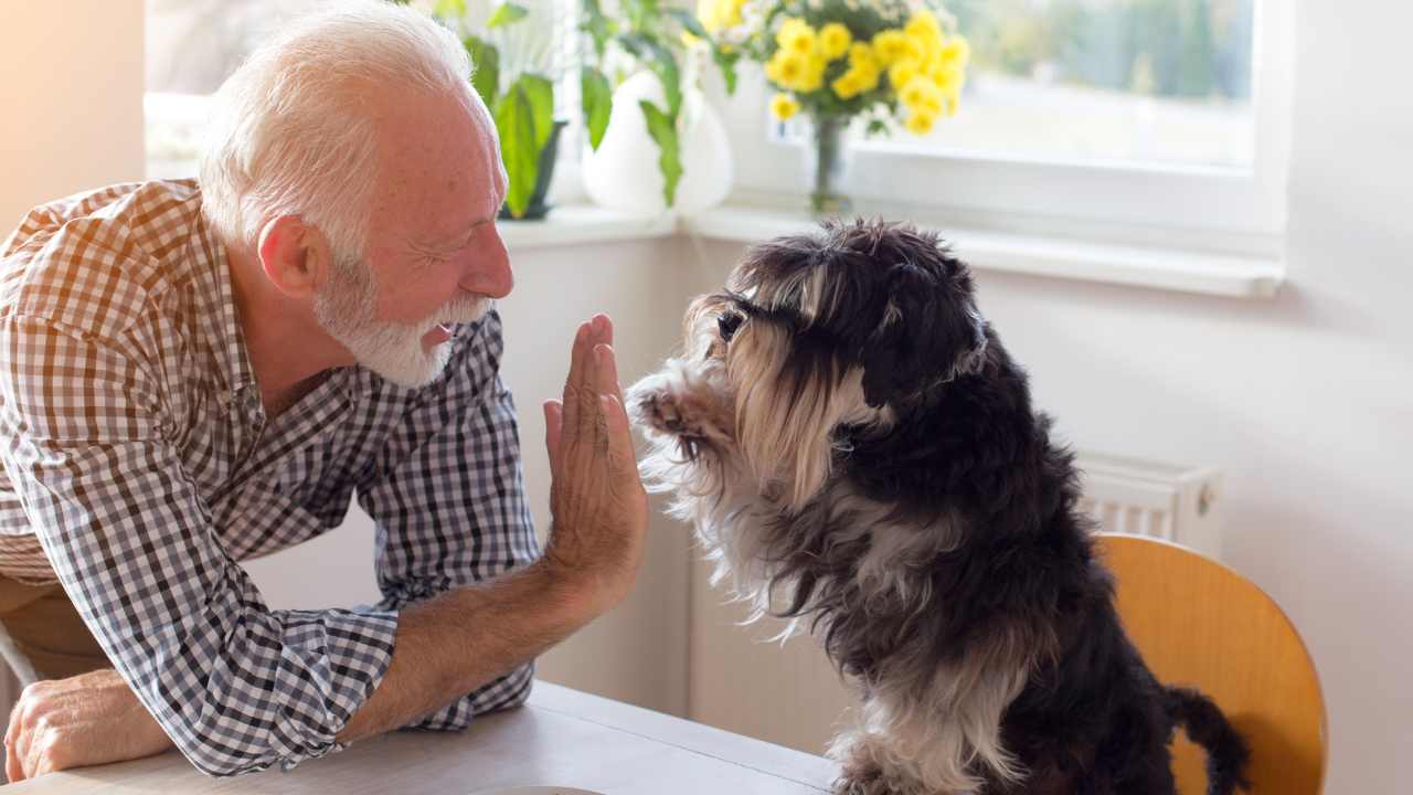 When will my Social Security benefit arrive?
