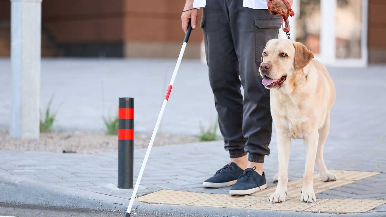 SSDI Payments: June and July payment schedules