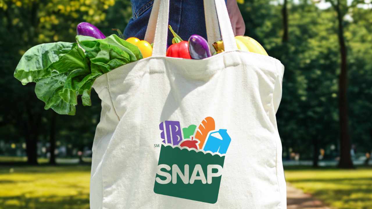 SNAP benefits to be deposited in the next days in several states