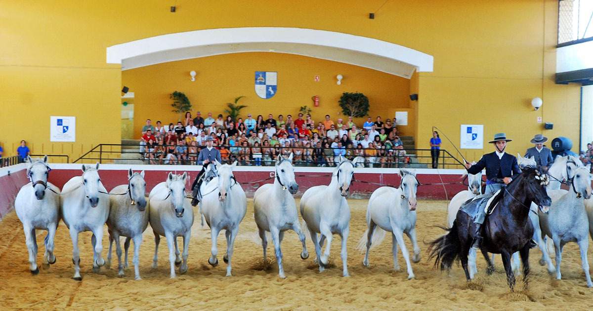 Yeguada de la Cartuja Hierro del Bocado