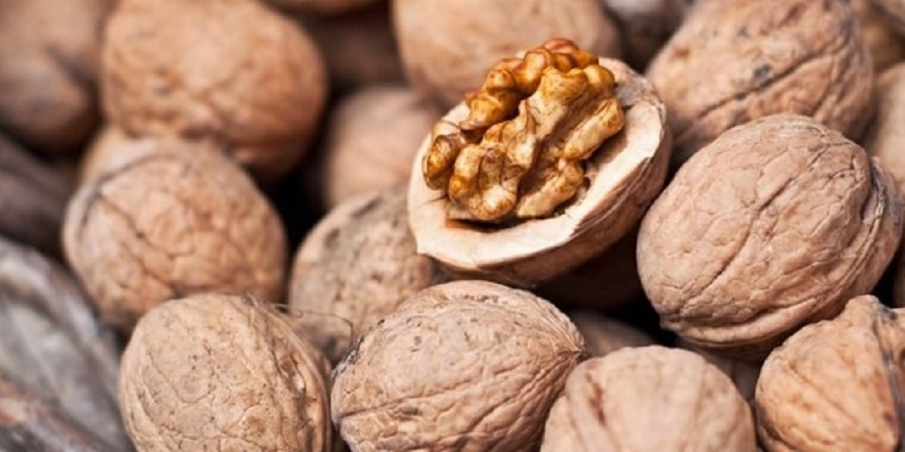 Nueces
