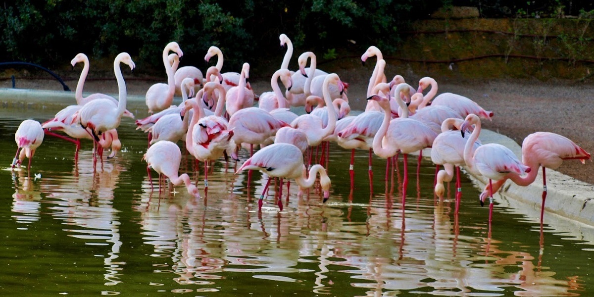 Zoo Jerez: Estos son los horarios y las tarifas