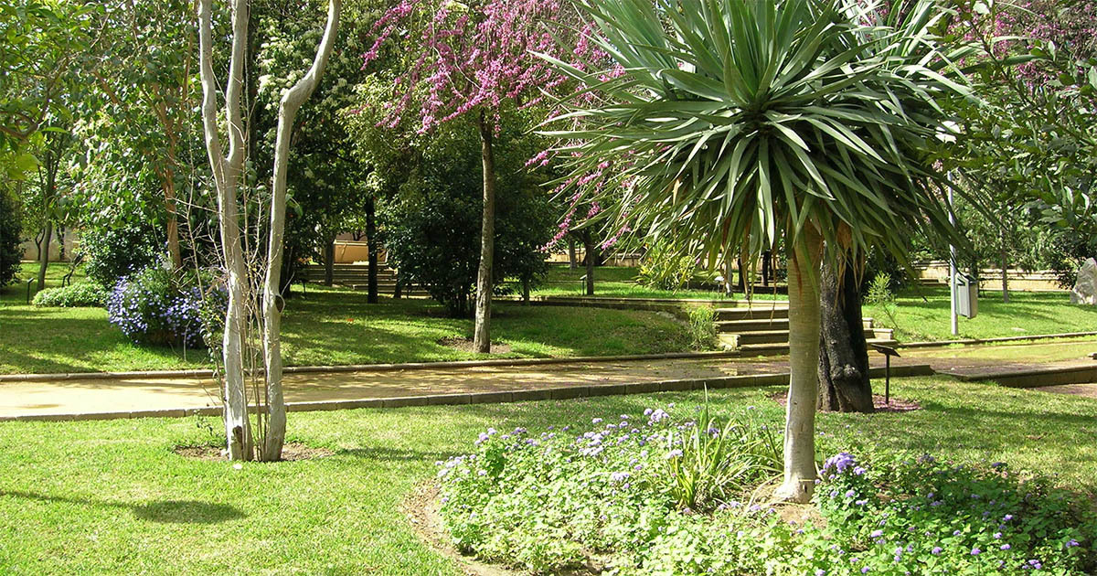 Zoológico Jerez: cómo llegar
