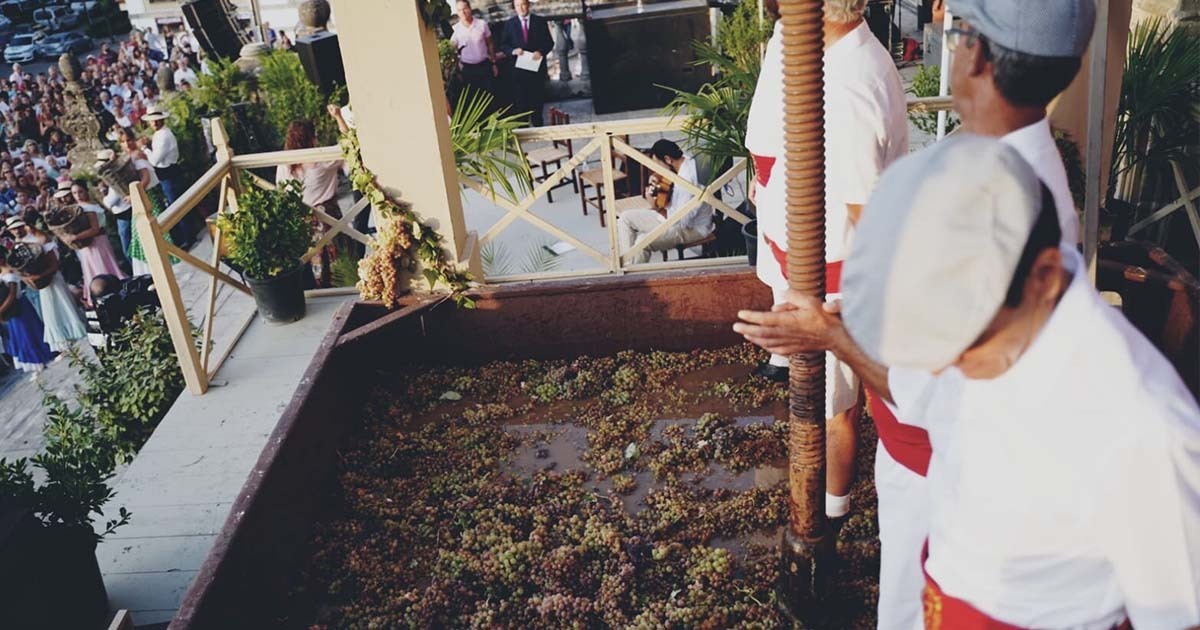 Fiesta de la Vendimia Jerez: esto es todo lo que debes saber.