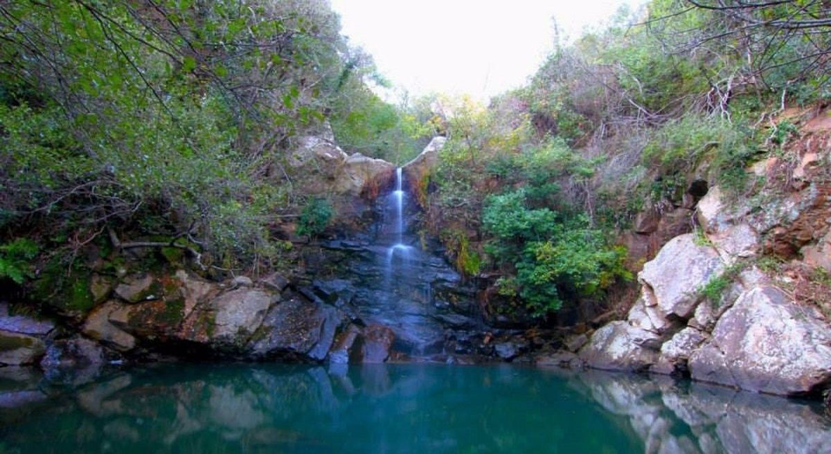 14/04/2020 Parque Natural de Los AlcornocalesPOLITICA ESPAÑA EUROPA ANDALUCÍAECOLOGISTAS EN ACCIÓN