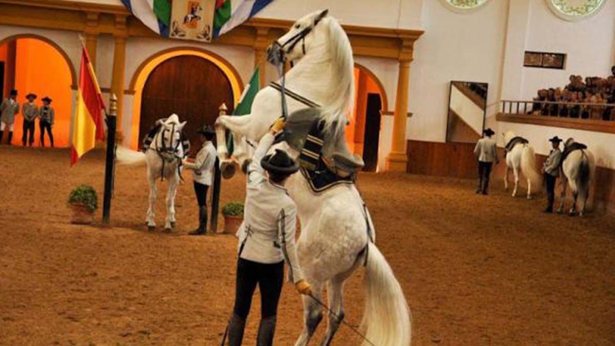 Escuela de Arte Ecueste de <a  data-cke-saved-href='https://www.elmira.es/seccion/jerez/' href='https://www.elmira.es/seccion/jerez/'
                                       title='Jerez' target='_blank'>Jerez</a>