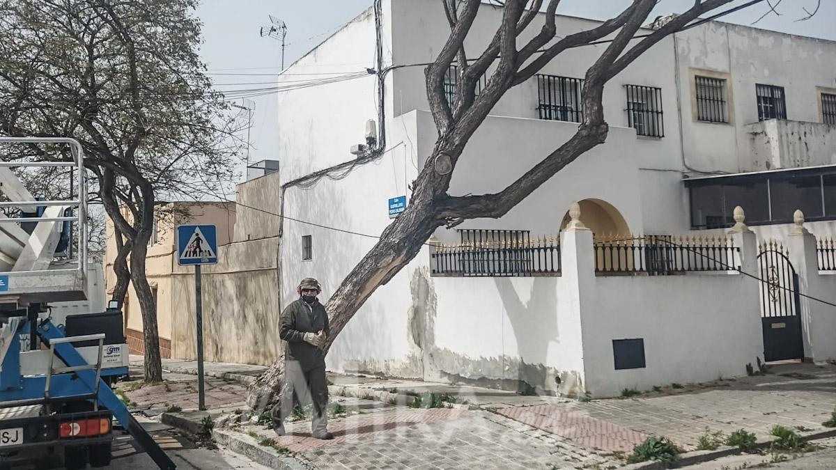 Efectos del Viento en Jerez de la Frontera en Calle Canarias 