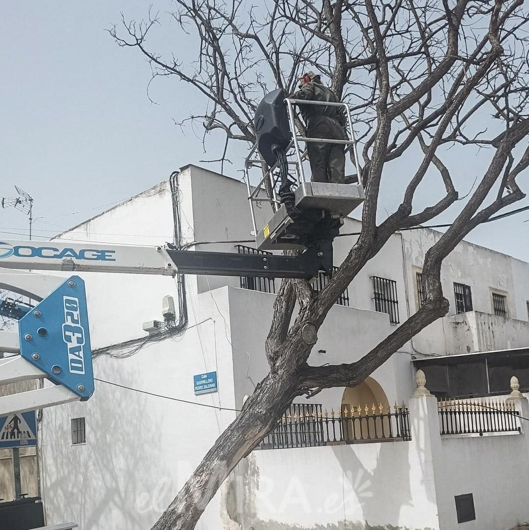 Efectos del Viento en Jerez de la Frontera en Calle Canarias