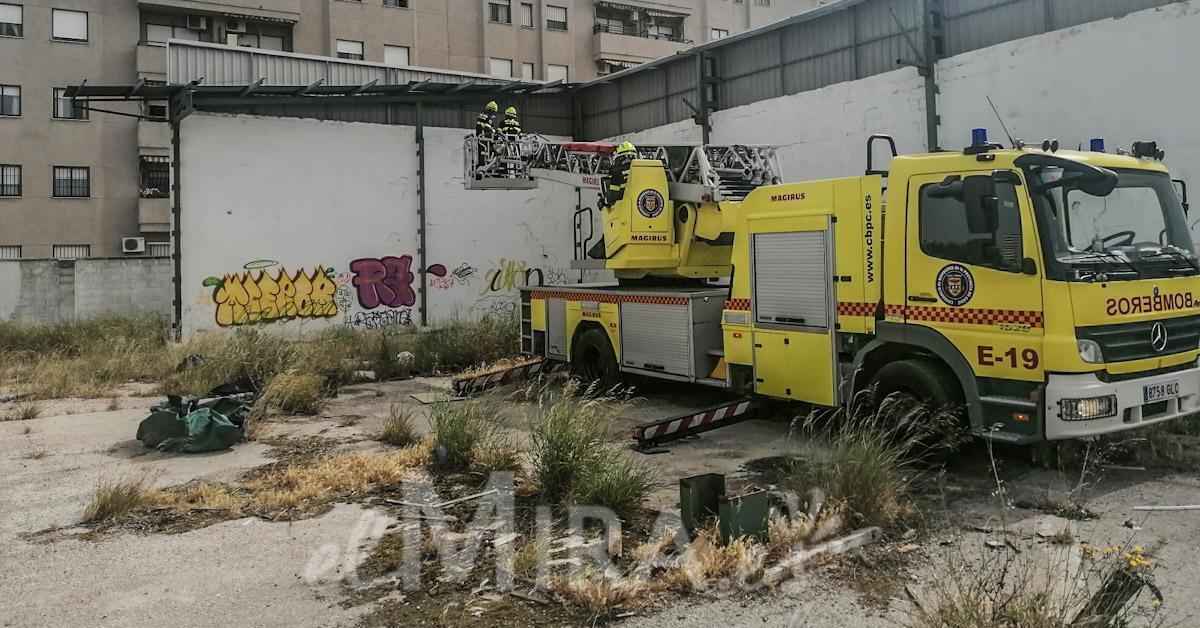 Efectos del Viento en Jerez de la Frontera en la Barriada Canaleja