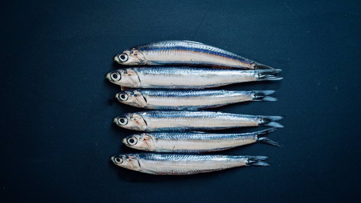 fotonoticia_20210404083044_1200