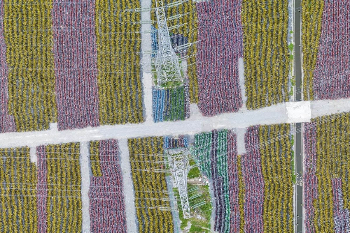 Cementerio de bicicletas apiladas en China 