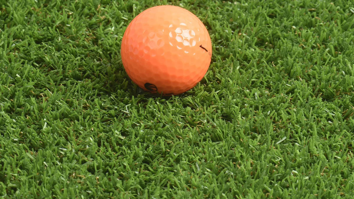 Rollo de césped artificial Cádiz 2x5 m