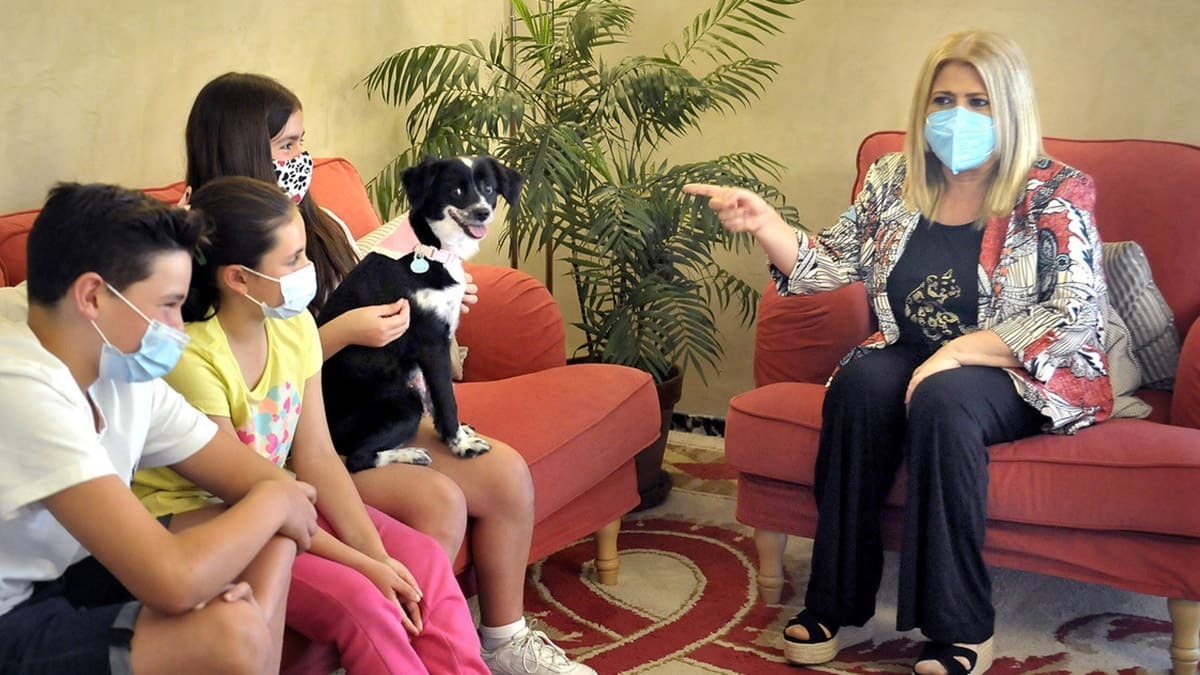 Mamen Sánchez monumento mascotas abandonadas