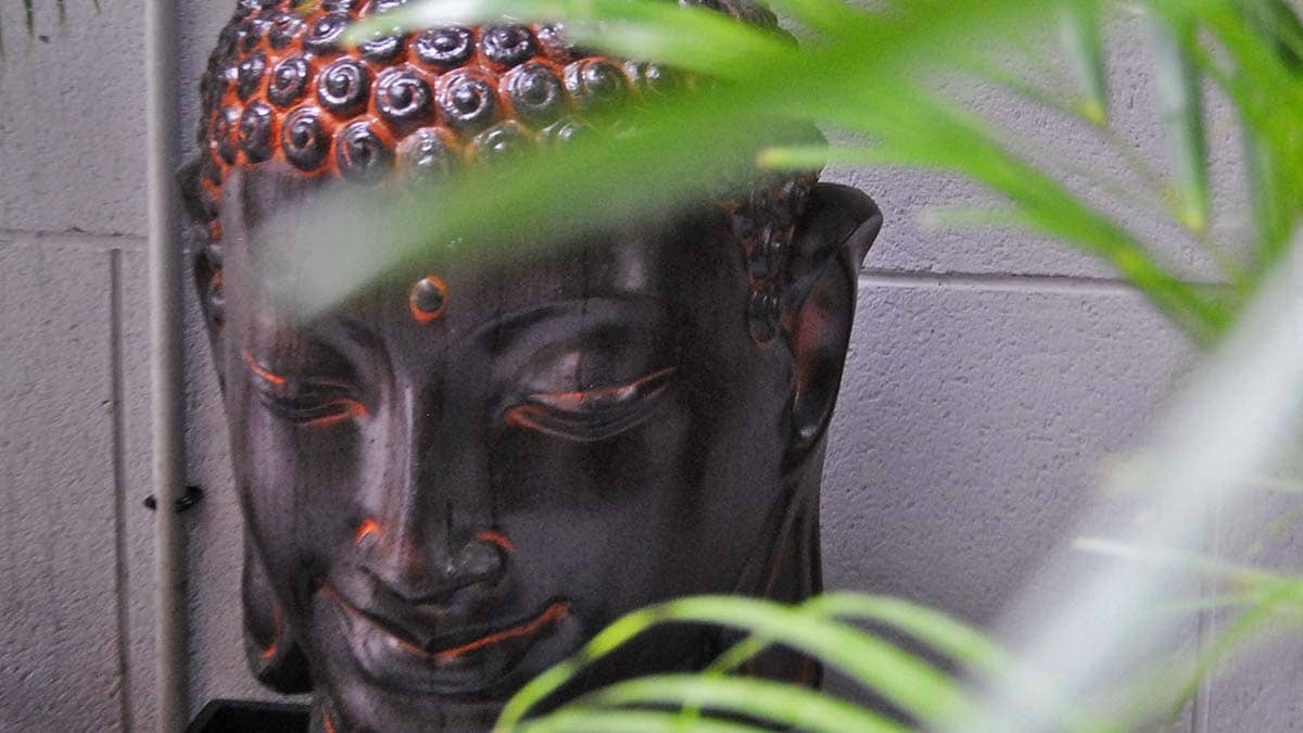 Terraza de Mahakala Jerez