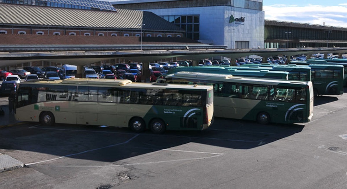 ¿Cómo solicitar la nueva Tarjeta Joven de Transporte en Jerez? Foto: archivo.