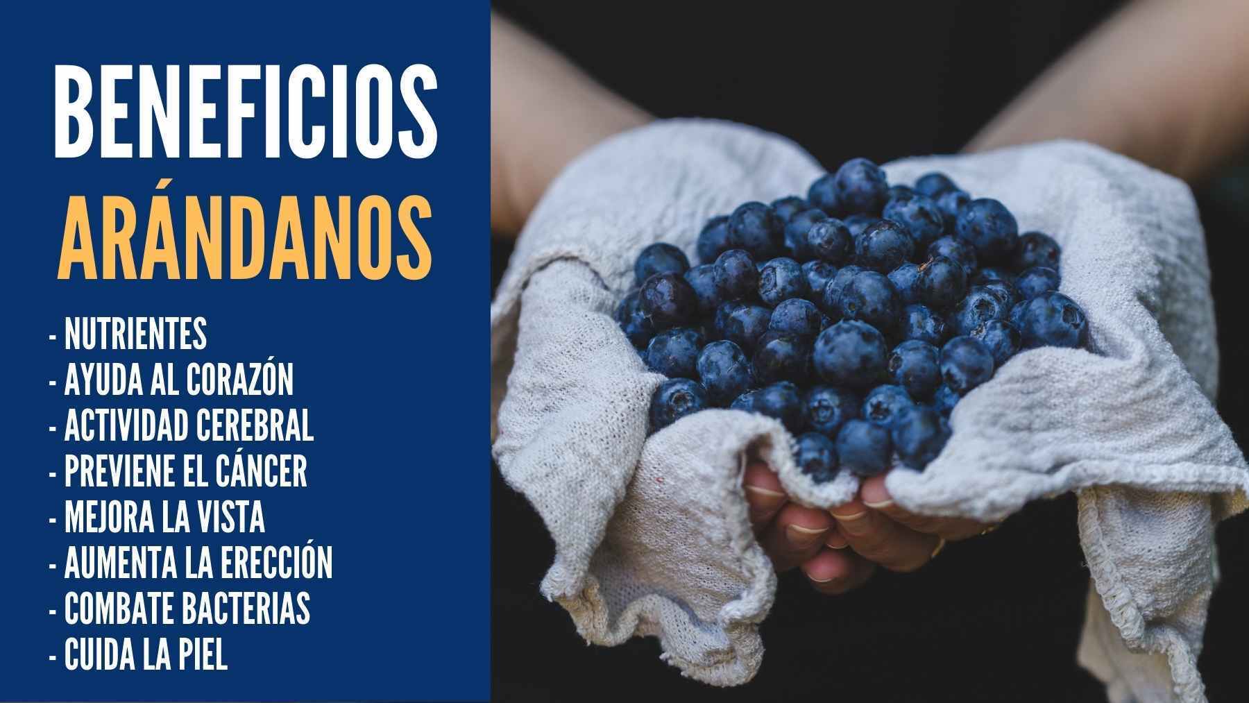 Atención con los arándanos, esto pasa si tomas esta fruta del bosque a diario 