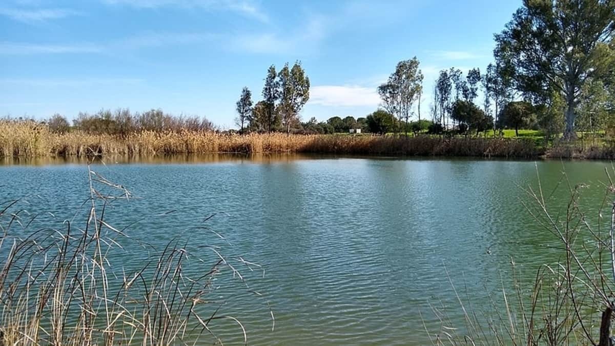 Parques de Sevilla: Parque del Tamarguillo Foto: CarlosVdeHabsburgo