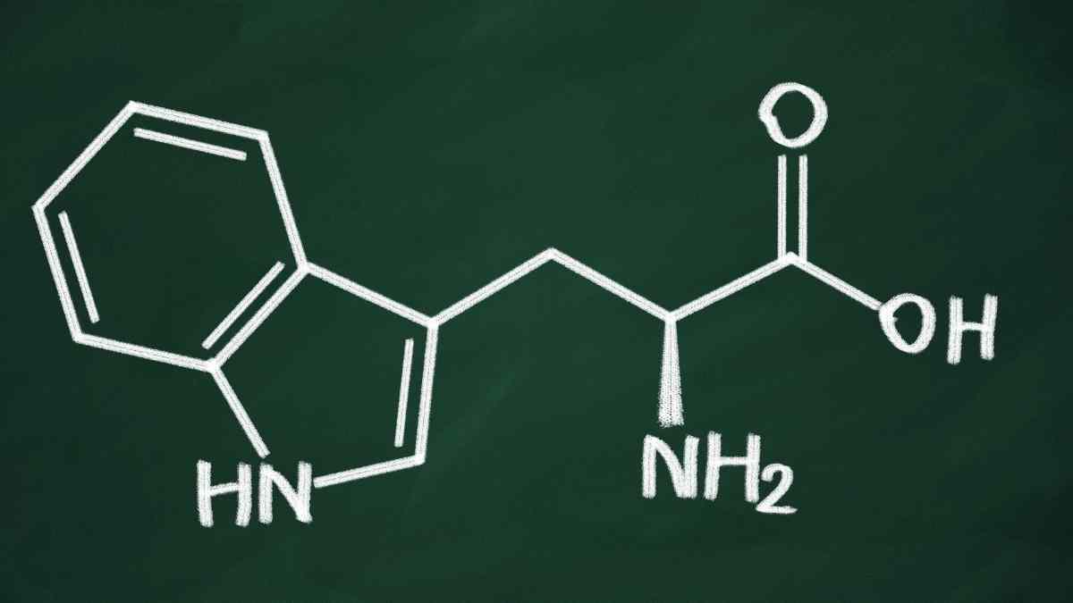 Fórmula química del Triptófano