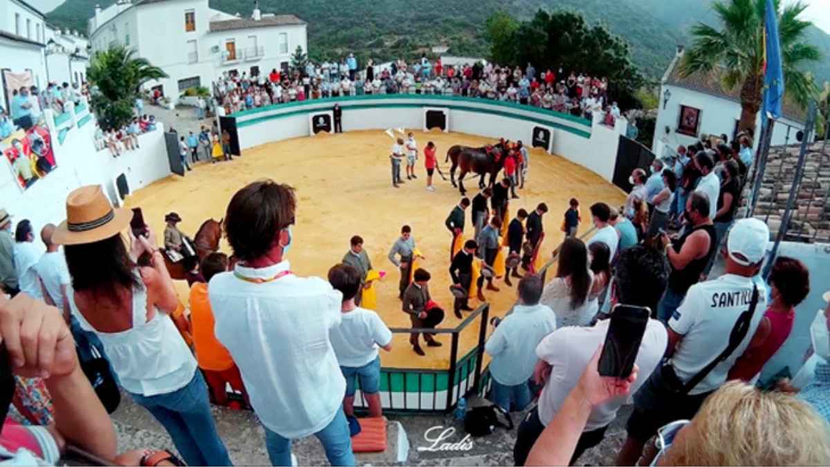 Becerrada en Benamahoma