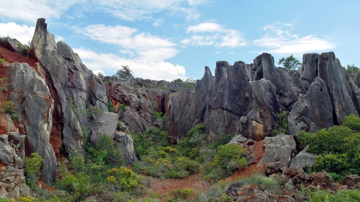 Webp.net-resizeimage (11)